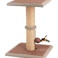 Pawise Cat Post Tango