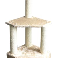 Pawise Cat Post Rome II