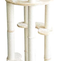 Pawise Cat Post The Columns