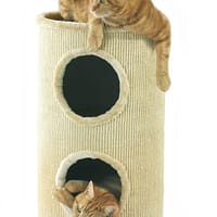 Pawise Cat Post Cat Tunnel Tower