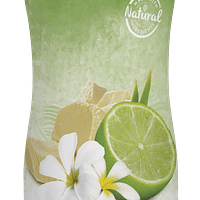 TropiClean Lime & Coconut Shampoo (DeShedding)