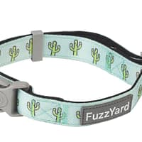 Tucson Dog Collar