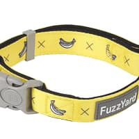 Monkey Mania Dog Collar