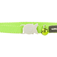 Red Dingo Kitten Classic Collar - Lime Green