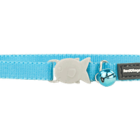 Red Dingo Kitten Classic Collar - Turquoise