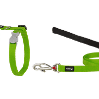 Red Dingo Cat Combo Classic - Harness & Lead - Lime Green