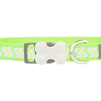 Red Dingo Bucklebone Reflective Ziggy Collar - Lime Green