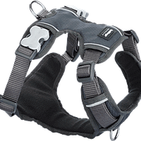 Red Dingo Padded Harness - Gray