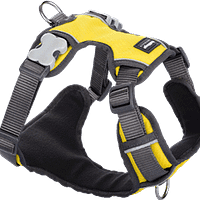 Red Dingo Padded Harness - Yellow