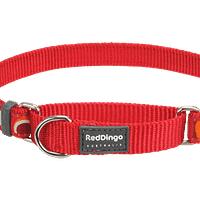 Red Dingo Martingale Half Check Collar - Red