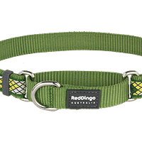 Red Dingo Martingale Collar Monty Green