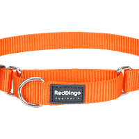 Red Dingo Martingale Half Check Collar - Orange