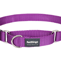 Red Dingo Martingale Half Check Collar - Purple
