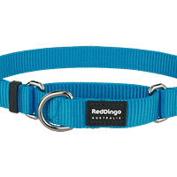 Red Dingo Martingale Half Check Collar - Turquoise