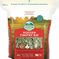 Oxbow Western Timothy Hay for Small Animals
