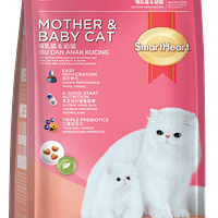 Smart Heart Mother and Baby