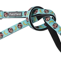 FuzzYard Dog Lead - Gor-illz