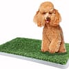 Pawise Green Trainer Replacement Grass Mat