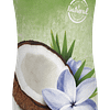 TropiClean Awapuhi & Coconut Shampoo (Whitening)
