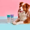 FuzzYard Moisturising Dog Shampoo - Jojoba + Basil - 220ml