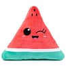FuzzYard Winky Watermelon