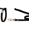 Red Dingo Cat Combo Classic - Harness & Lead - Black