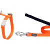 Red Dingo Cat Combo Classic - Harness & Lead - Orange