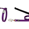 Red Dingo Cat Combo Classic - Harness & Lead - Purple