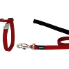 Red Dingo Cat Combo Classic - Harness & Lead - Red