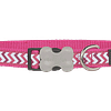 Red Dingo Bucklebone Reflective Ziggy Collar - Hot Pink