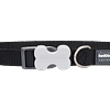 Red Dingo Bucklebone Classic Collar - Black