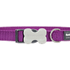 Red Dingo Bucklebone Classic Collar - Purple