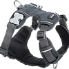 Red Dingo Padded Harness - Gray