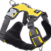 Red Dingo Padded Harness - Yellow