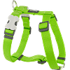 Red Dingo Classic Harness - Lime Green