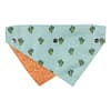FuzzYard Tucson Pet Bandana