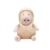 Petz Route Rubber Coat Pig Dog Toys