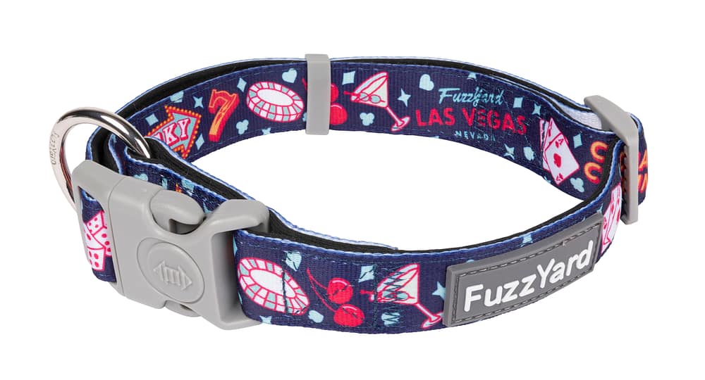 FuzzYard Dog Collar - Jackpup (3 Sizes)
