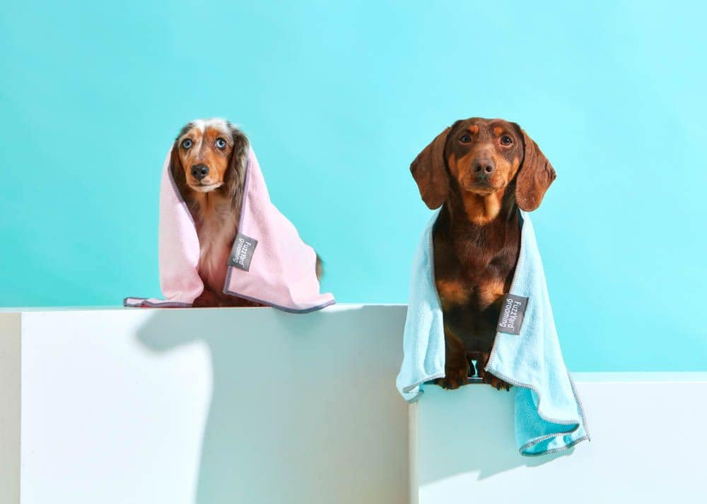 Blue With Grey Trim, Microfibre Drying Towel For Puppies