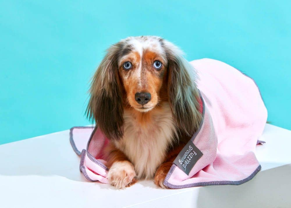 FuzzYard Pink With Grey Trim Microfibre Drying Towel For Puppies