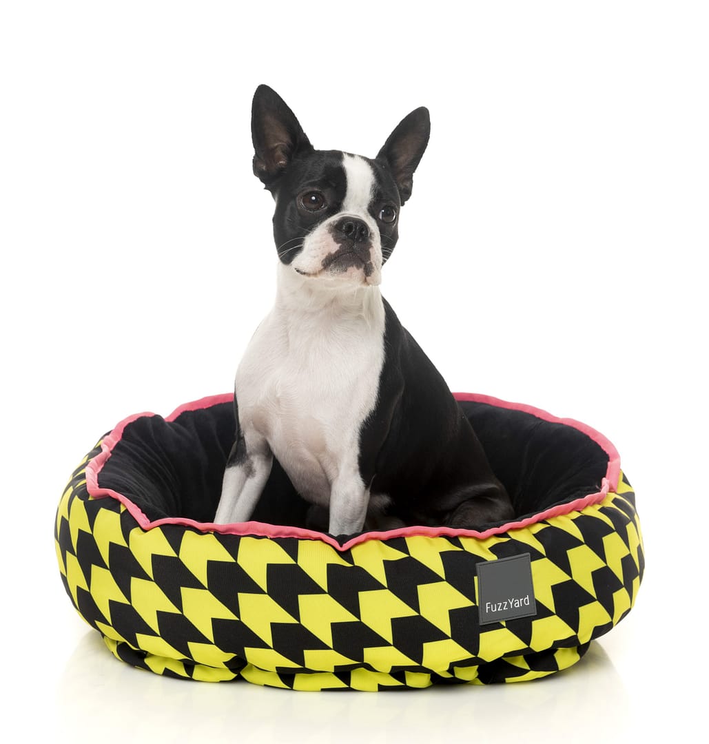 FuzzYard Harlem Reversible Dog Bed