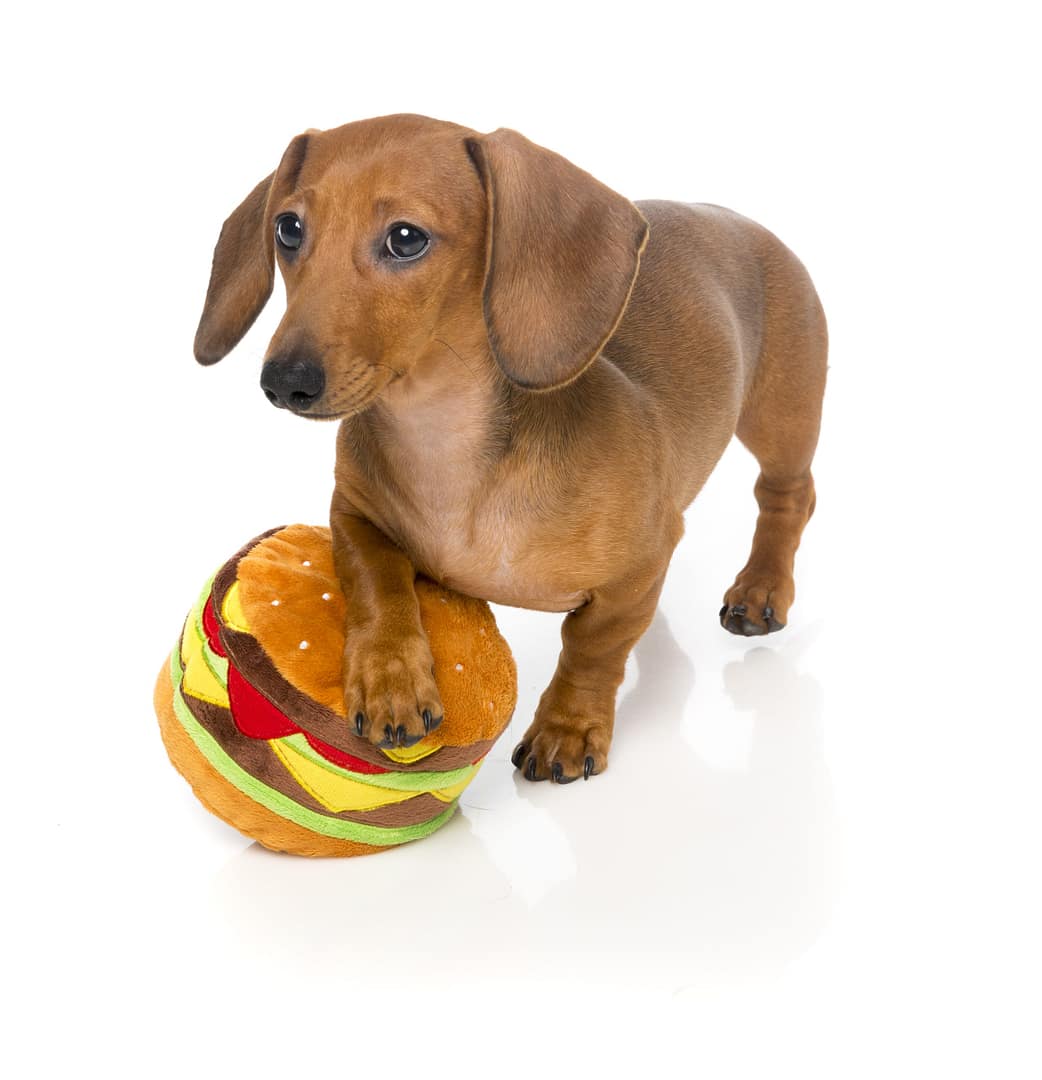 FuzzYard Dog Toy - Hamburger
