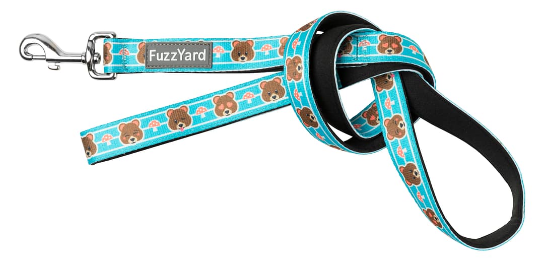 FuzzYard Dog Leads - Fuzz Bear (2 Sizes)