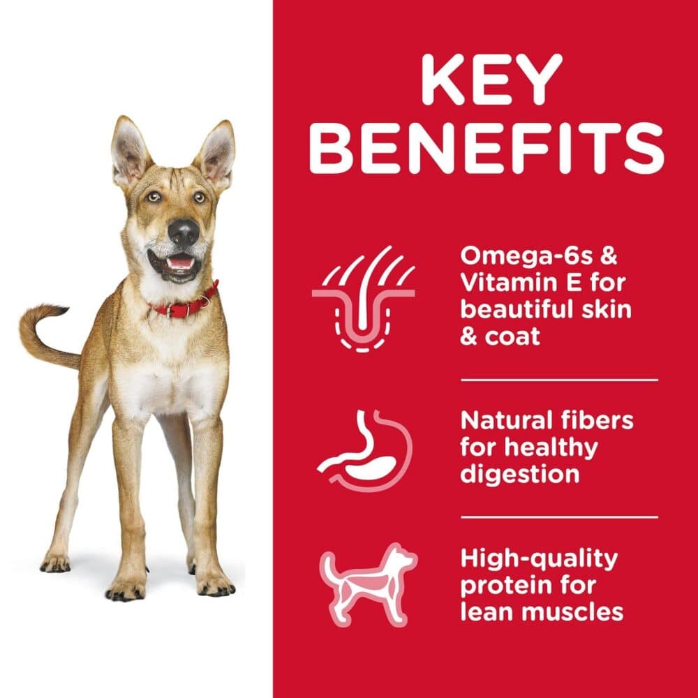 Hill's Science Diet Adult Original Chicken & Barley Recipe dog food (3 Sizes) - Image 5