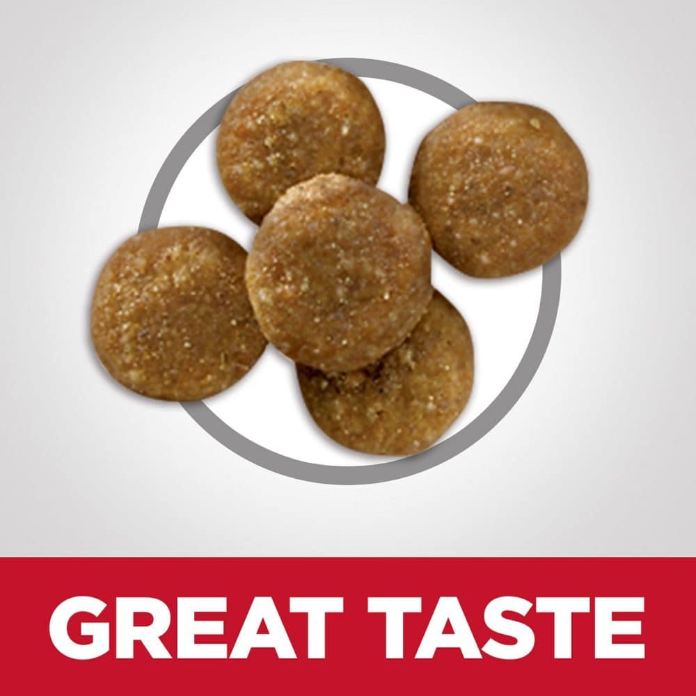 Hill's Science Diet Adult Perfect Digestion Salmon, Brown Rice, and Whole Oats Recipe Cat Food 3.5lbs - Image 3