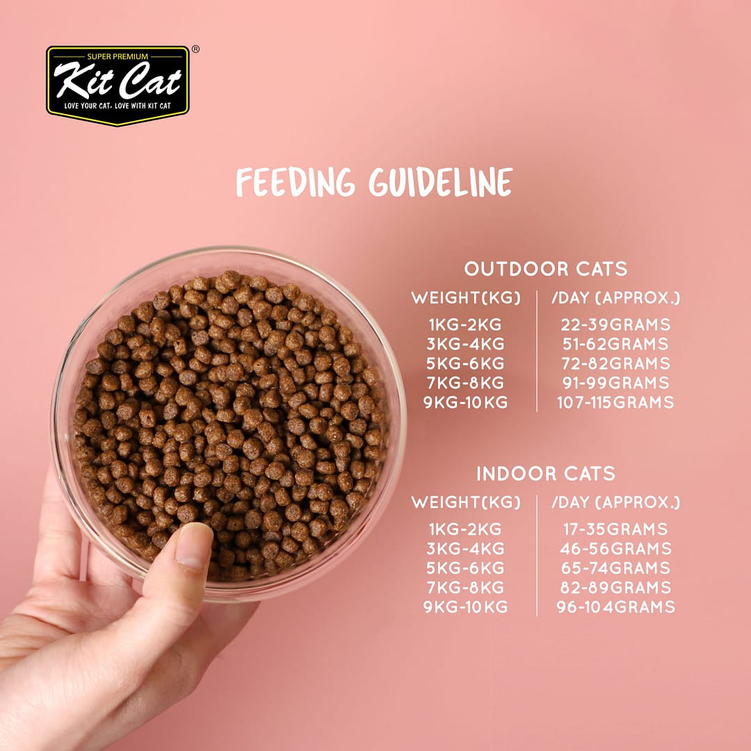 Kit Cat No Grain Dry Cat Food Kitten (2 Sizes) - Image 5