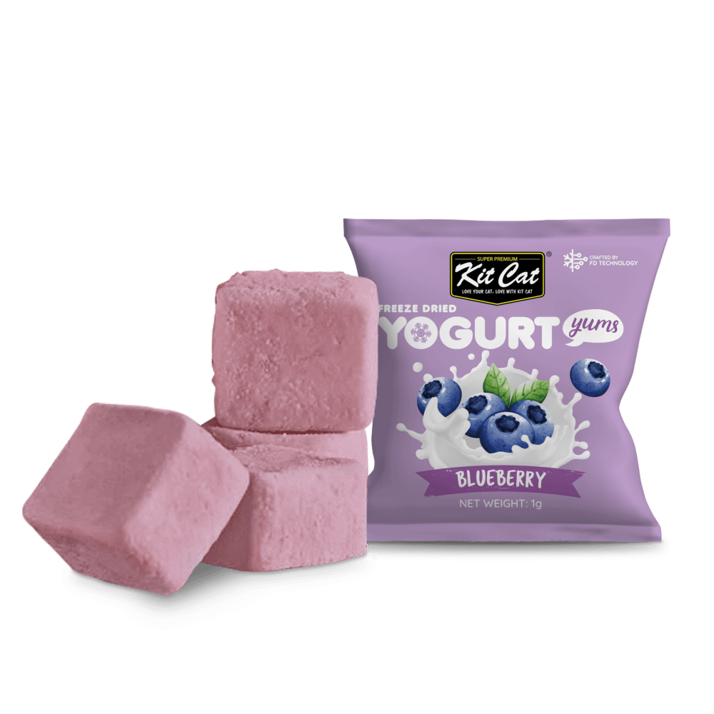 Kit Cat Freeze Dried Yogurt Yums Cat Treat - Blueberry (10pcs)