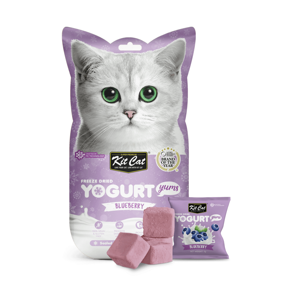 Kit Cat Freeze Dried Yogurt Yums Cat Treat - Blueberry (10pcs)