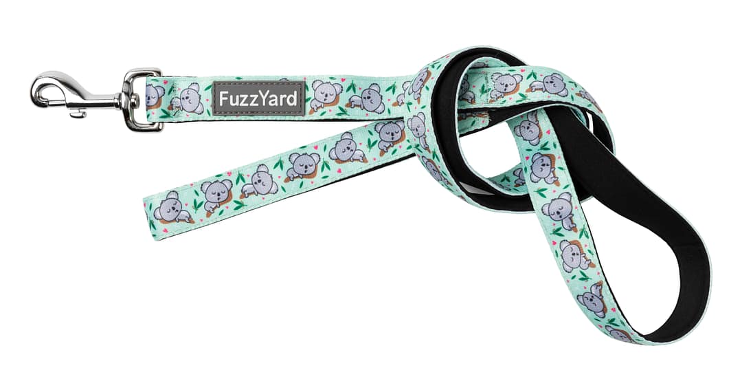 FuzzYard Dog Lead - Dreamtime Koalas (2 Sizes)