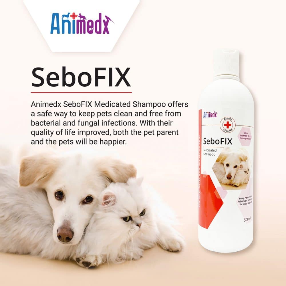 Animedx Sebofix Medicated Dog Shampoo